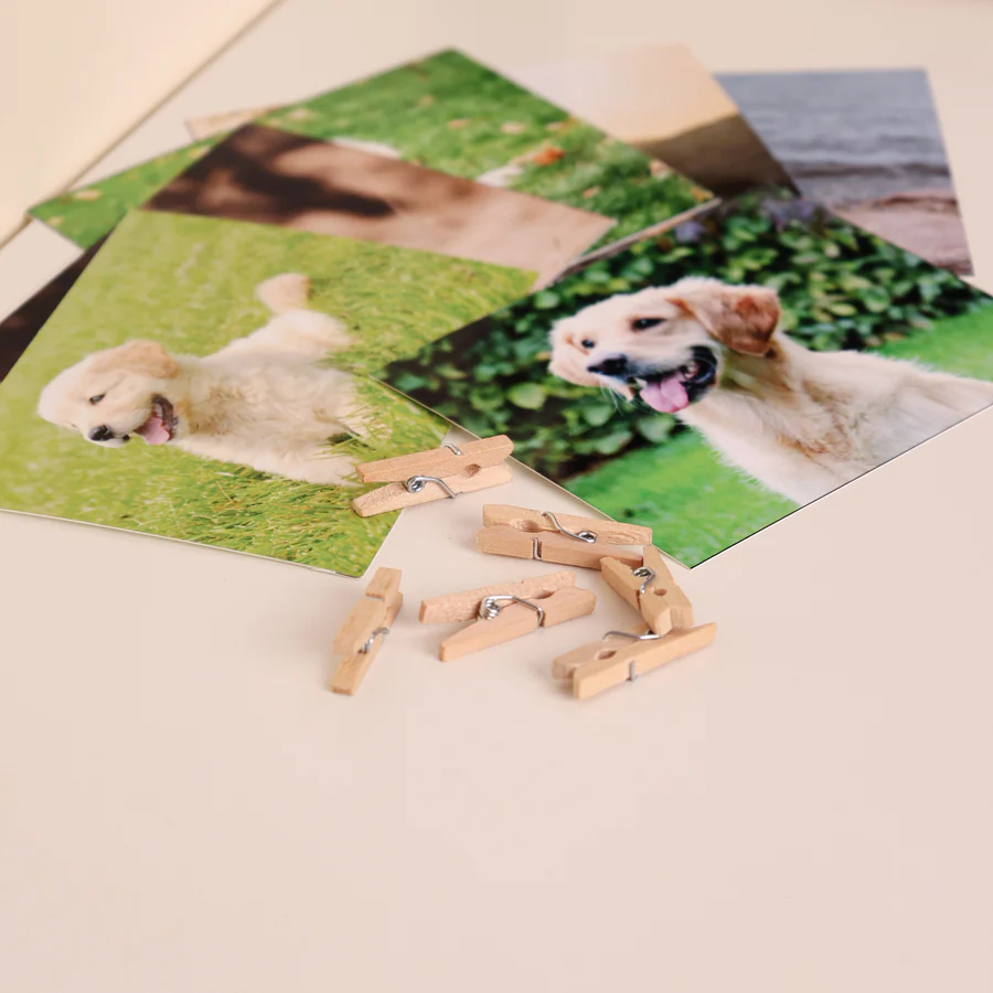 Memories in Spotlight - Image 6