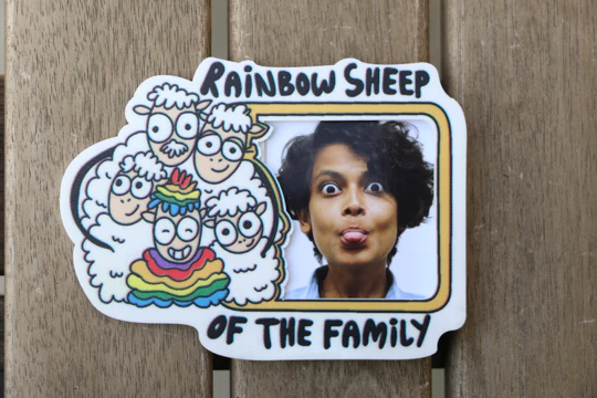 Rainbow Sheep Magnet - Image 2