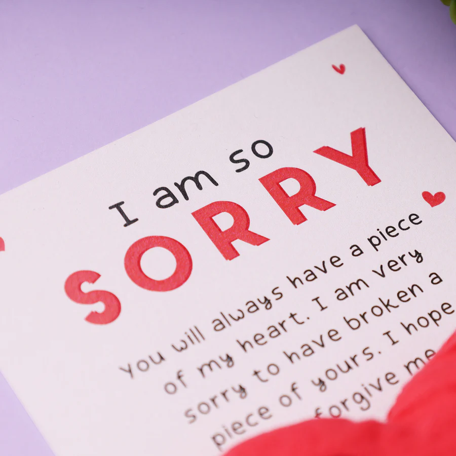 Sorry Pocket Hug - Image 2