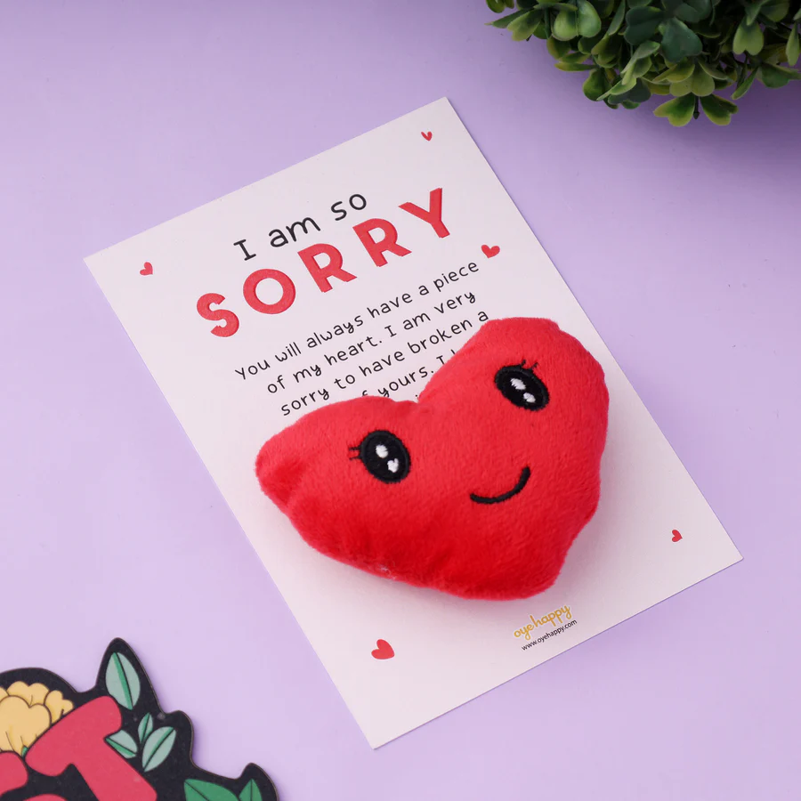 Sorry Pocket Hug - Image 4