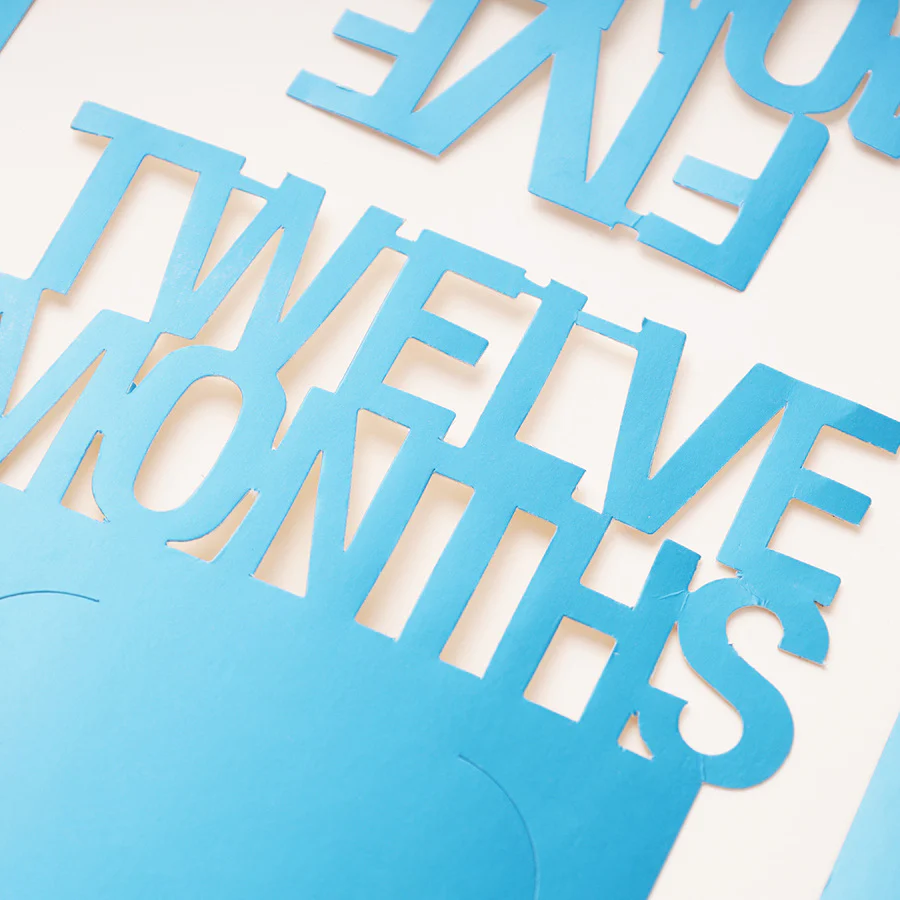 Twelve Months 1st Birthday Photo Banner - Image 2